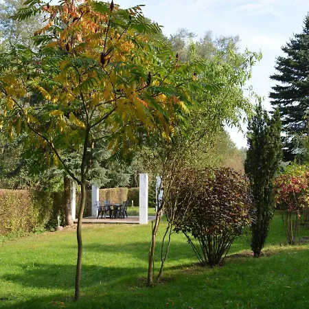 Mit Terrasse Und Kaminofen In